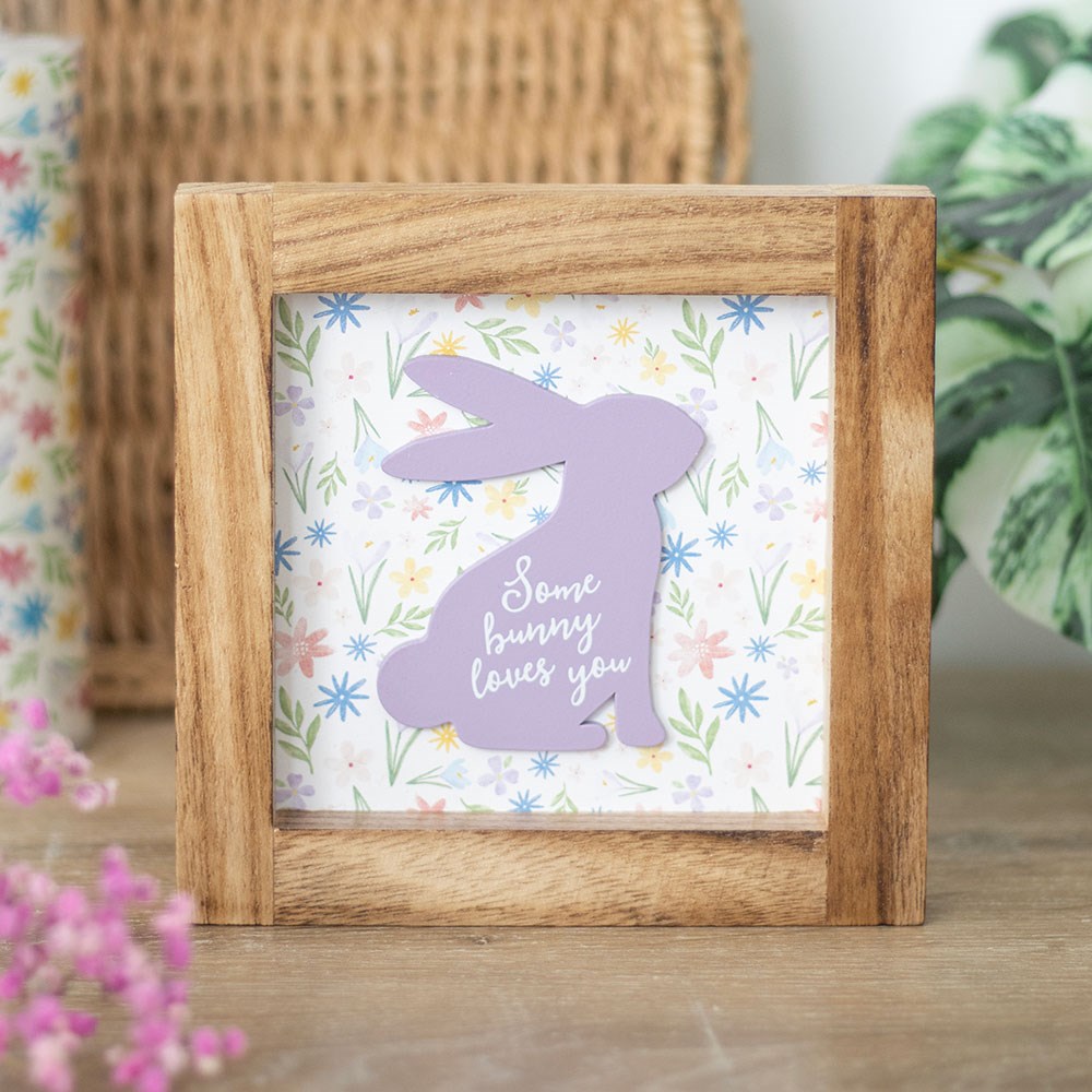 Καδράκι Some Bunny Loves You